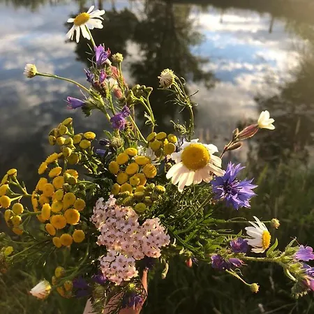 Gaestehaus Διαμέρισμα *