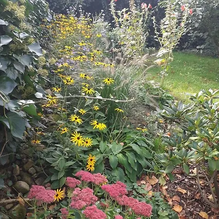 Gaestehaus Διαμέρισμα *