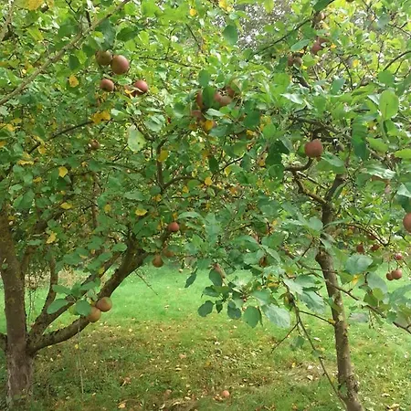 Διαμέρισμα Gaestehaus Deibow